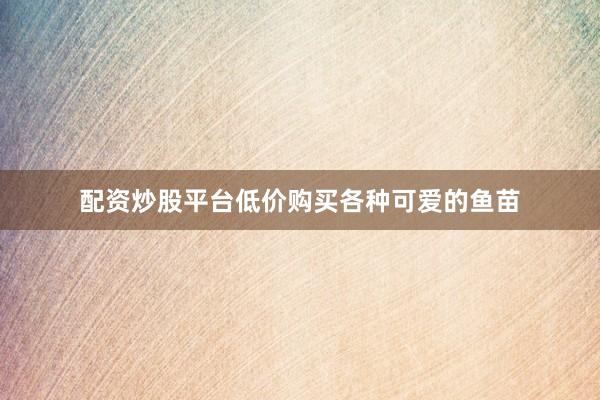 配資炒股平臺(tái)低價(jià)購買各種可愛的魚苗