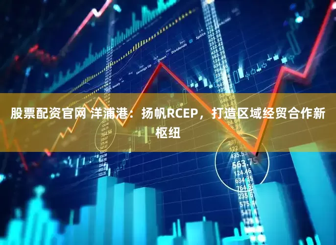 股票配資官網(wǎng) 洋浦港：揚帆RCEP，打造區(qū)域經(jīng)貿(mào)合作新樞紐