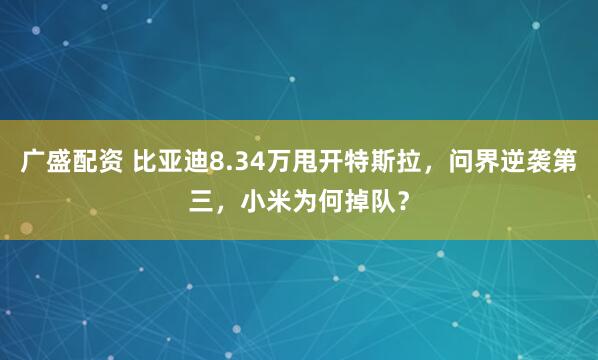 廣盛配資 比亞迪8.34萬甩開特斯拉，問界逆襲第三，小米為何掉隊(duì)？