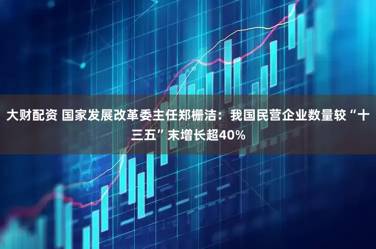 大財配資 國家發展改革委主任鄭柵潔：我國民營企業數量較“十三五”末增長超40%