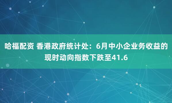 哈福配資 香港政府統(tǒng)計處：6月中小企業(yè)務收益的現(xiàn)時動向指數下跌至41.6