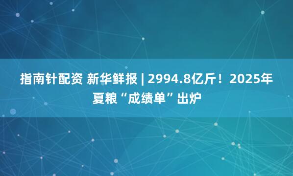 指南針配資 新華鮮報 | 2994.8億斤！2025年夏糧“成績單”出爐